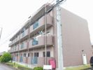 ピノプエブロの間取り画像