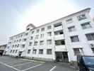 宇野ビル3号の間取り画像