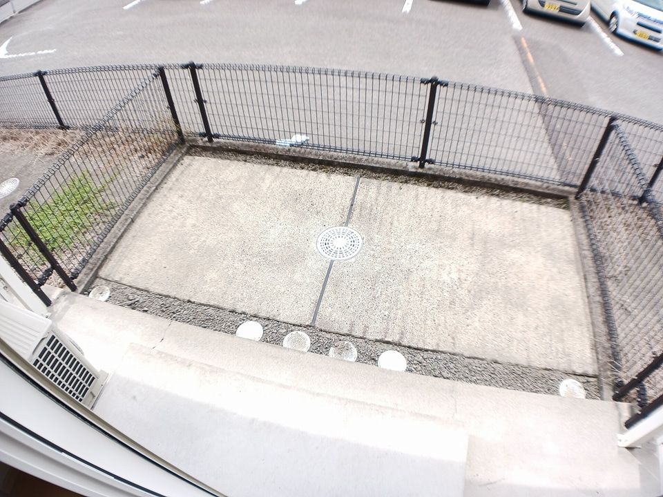 庭
