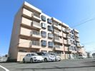 笠原コーポの間取り画像