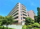 ライオンズヒルズ泉中央の間取り画像
