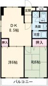 メゾンコンフォールの間取り画像