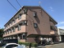 セレノシエルの間取り画像