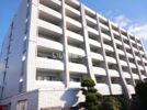 S-FORT平成けやき通りの間取り画像