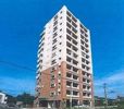 Hamiel下曽根の間取り画像