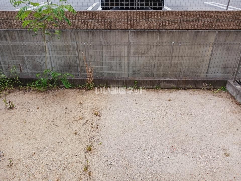 庭