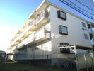 紫野ハイツの間取り画像