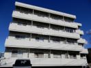 コーラルマンションの間取り画像