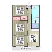 坂口コーポの間取り画像