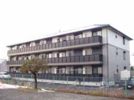 グレイスコートの間取り画像