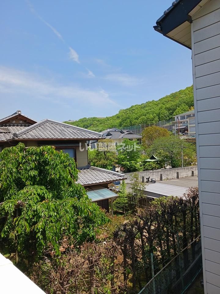 眺望