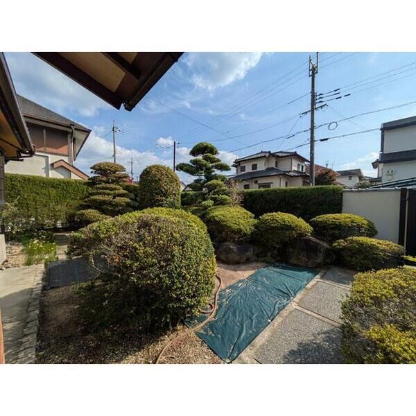 庭