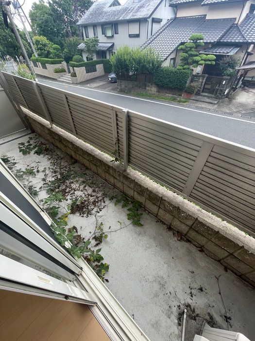 庭