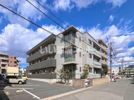 Pratiqueの間取り画像