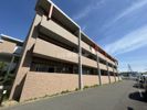 カーサグランデの間取り画像