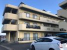 中部マンションの間取り画像