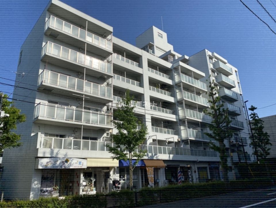 武蔵野ビューハイツの外観画像