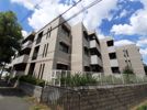 デイグランロイヤルメゾンの間取り画像