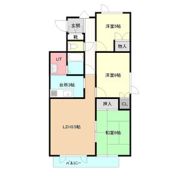 ドミール中央の間取り画像