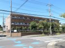 グリーン新柏の間取り画像