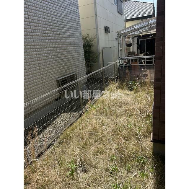 庭