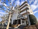 CERES学園前の間取り画像