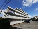 レジデンス第7石川の間取り画像