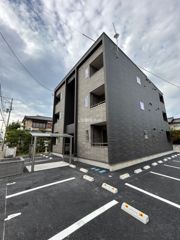 アンスリウムの外観画像