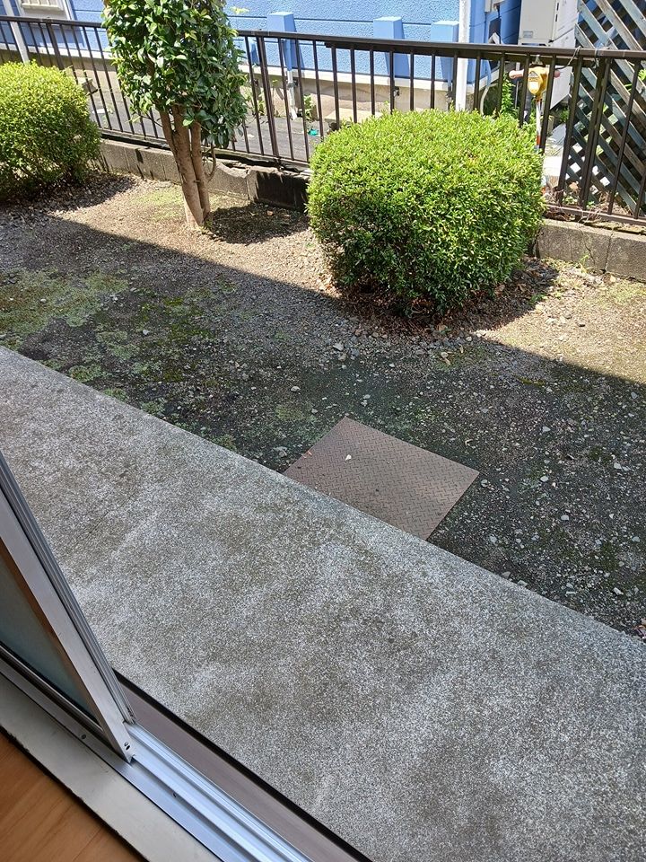 庭
