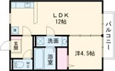 グレイスワンの間取り画像