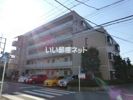 チェリーハイムⅡの間取り画像