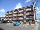 マンションK20の間取り画像