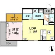 D-Crinum 本田町の間取り画像