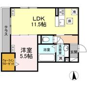 D-Crinum 本田町の間取り画像