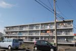マンションカメリアIIIの間取り画像