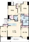 アクタス籠町グランミライの間取り画像