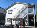 ルイコテサシの外観