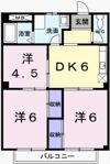 メゾン唐々の間取り画像