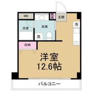 RAFFLE SHINSAKAEの間取り画像