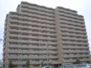 ロイヤルシャトー泉本町の間取り画像