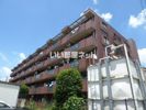 リヴィエール一橋学園の間取り画像