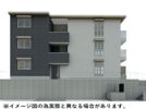 Gentiana scabraの外観画像