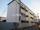 ジュネス船場の間取り画像