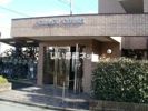 グレイスコートの間取り画像