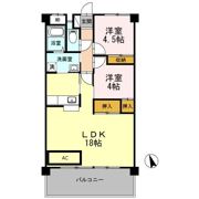 ロゼオ パラッツオの間取り画像