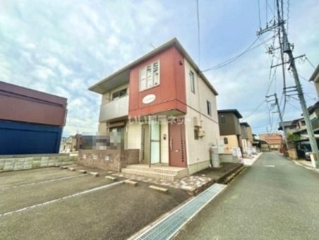 レモンバームの外観画像
