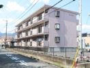 ミレニアムの間取り画像