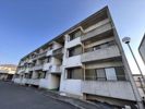 第二みどり館の間取り画像