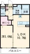 Bliss高松の間取り画像