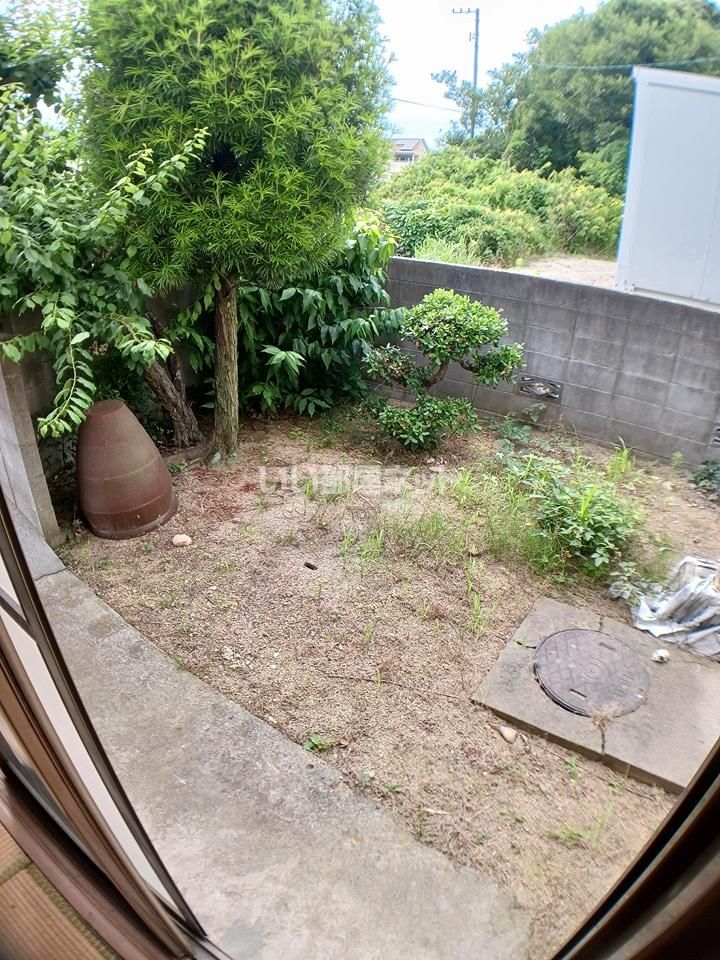 庭